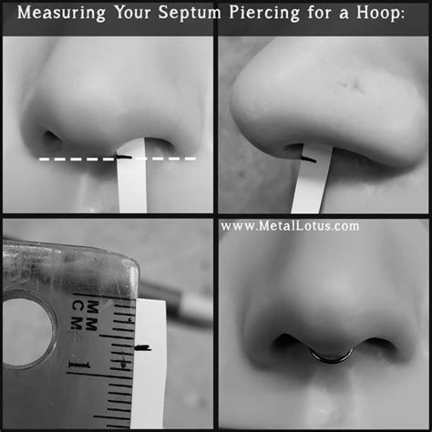 septum piercing clamp|how to pierce a septum.